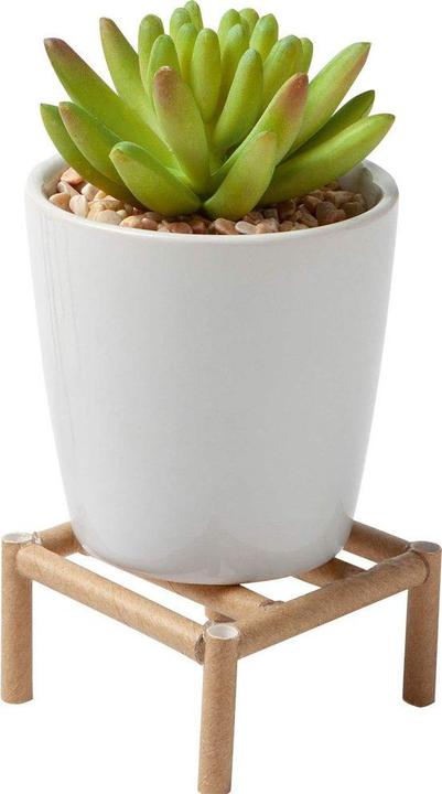 Produktbild Folia Strohhalme (25 x)