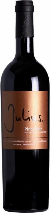 Image du produit Vins & Vignobles Julius Sa Pinot Noir Barrique Valais AOC (1 x 75 cl, 2022)