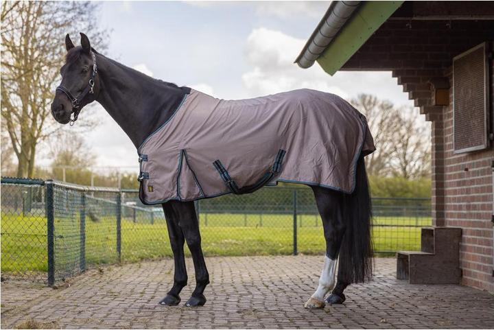 Produktbild Premiere Equitation Animal Print