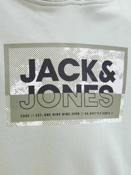 Produktbild Jack & Jones Jcologan Print Sweat Hood Sn Mni (110)