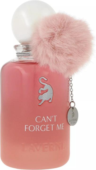 Produktbild Laverne Can't Forget Me Eau de Parfum (Eau de Parfum, 100 ml)