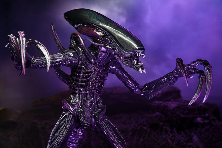 Produktbild Neca Alien vs Predator “Alien Sortiment” 3er Actionfiguren Set