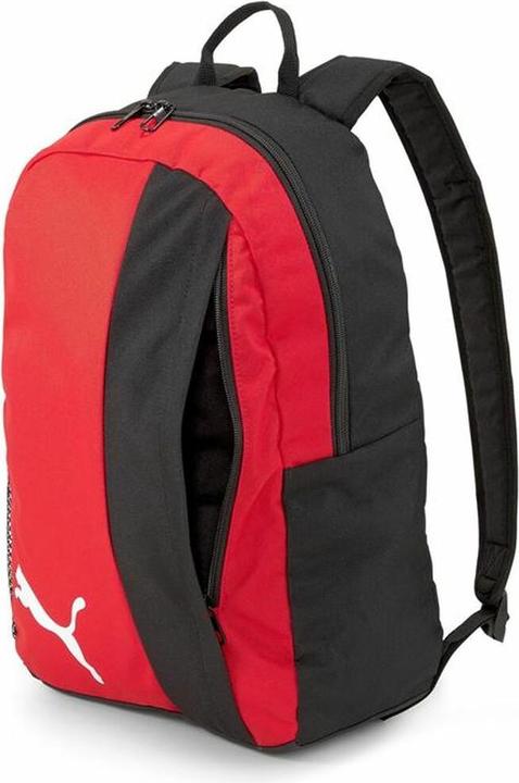 Actual product image Puma Team goal 23 (22 l)
