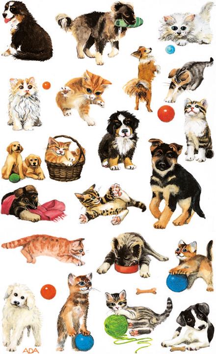 Produktbild Z-Design Kinder Aufkleber