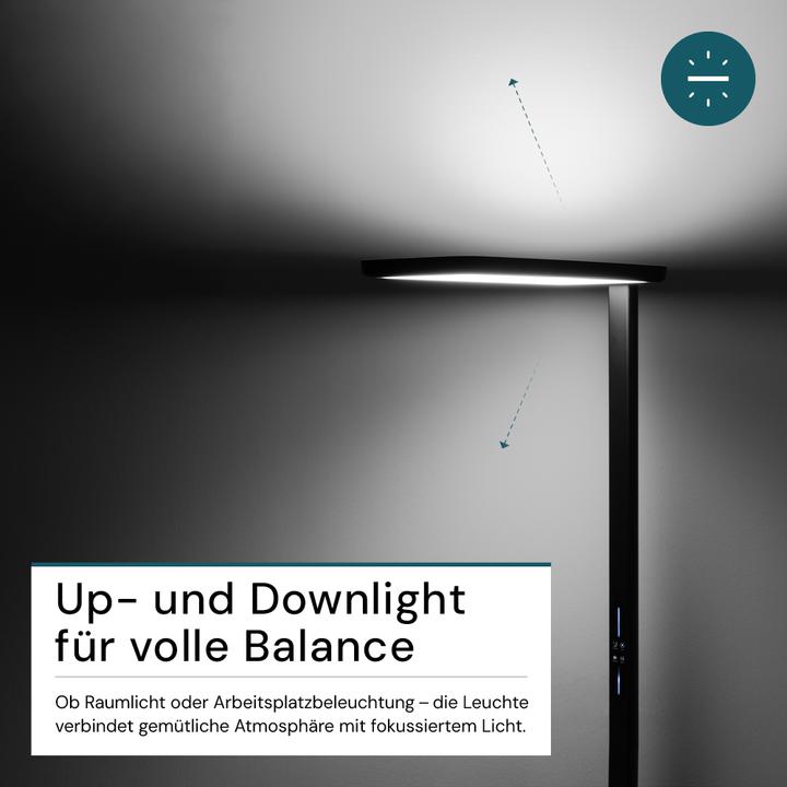 Actual product image Luxula LED Büro-Stehleuchte, Up/Down, schwarz (7000 lm)