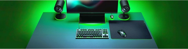 Produktbild Razer Gigantus V2 (L)