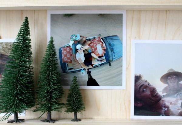 Image du produit Noch Arbre Pack Sapin 35 à 90 mm