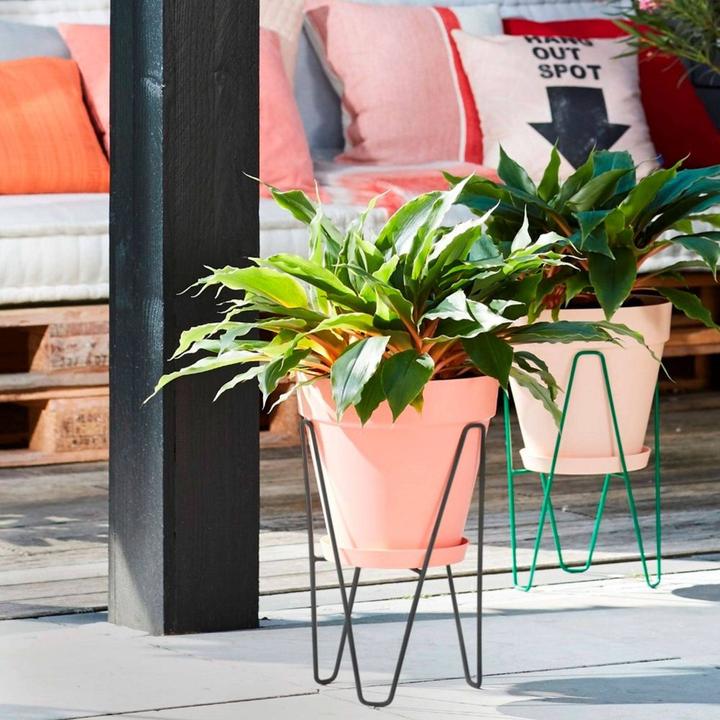 Image du produit Elho Loft Urban Frame