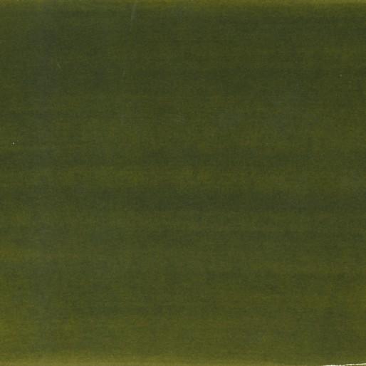 Image du produit Pebeo Encre à base d'eau Colorex (Vert olive, 45 ml)