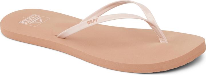 Cameo Rose/Sughero, cammeo rosa-sughero, Rosa, Rosa cammeo / Sughero