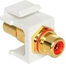 Produktbild Delock Keystone Cinch (Doppelkupplung)