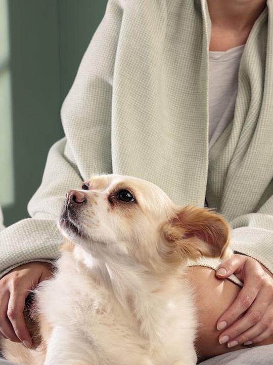 Actual product image Biederlack Wohndecke "Pearl" (200 x 150 cm)