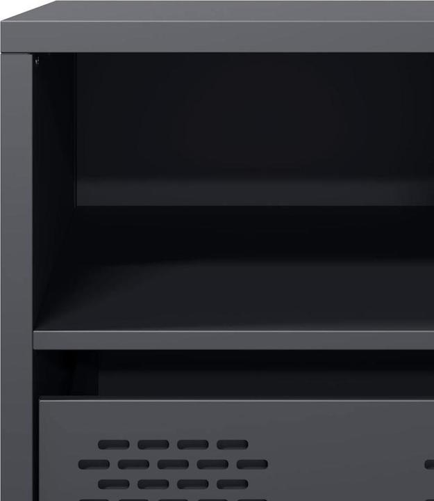 Image du produit vidaXL TV-Schrank