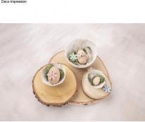 Actual product image Rayher Birch slice, 25-28cm ø