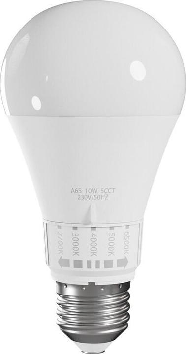 Produktbild ZAR.LED 10W E27 EINSTELLBARE GLOBE SPEKTRUM WOJ14715 (E27, 1100 lm)