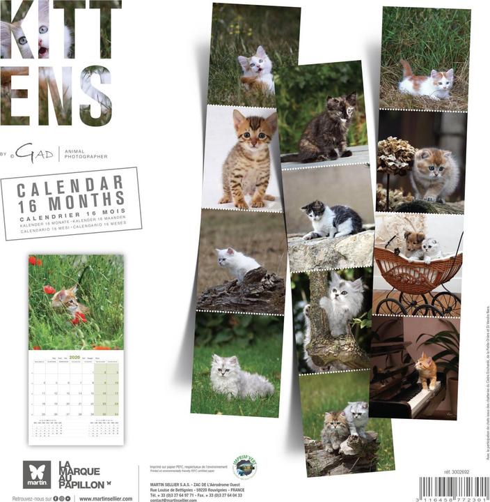 Produktbild Martin Sellier Chatons
