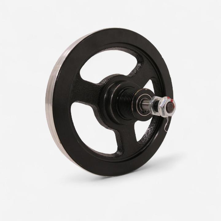 Actual product image Domyos Schwungrad