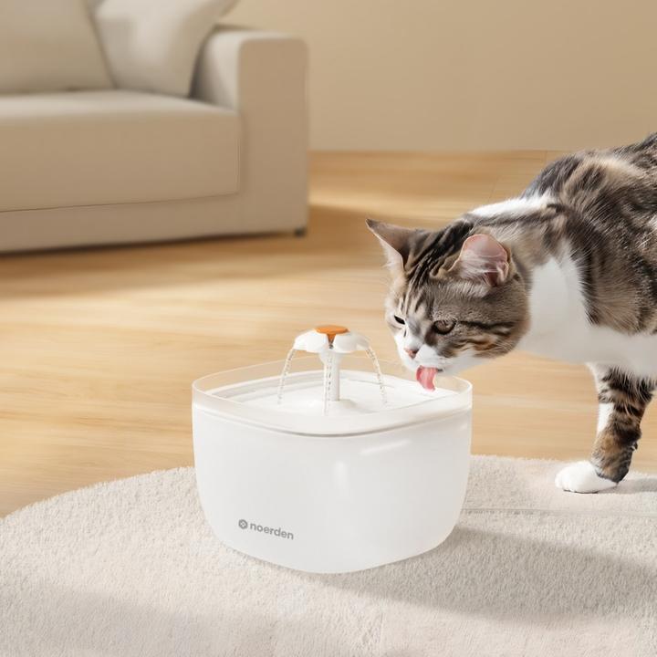 Produktbild Noerden PawQuench Wasserspender für Haustiere 2 Liter (2 l)