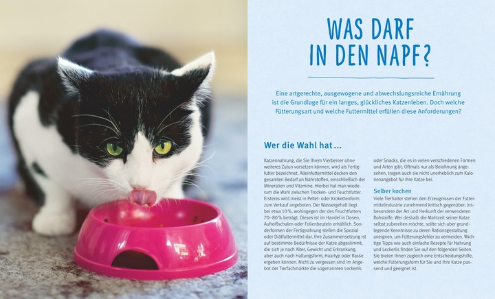 Produktbild Katzen gesund ernähren (1 Stk., 171 g)