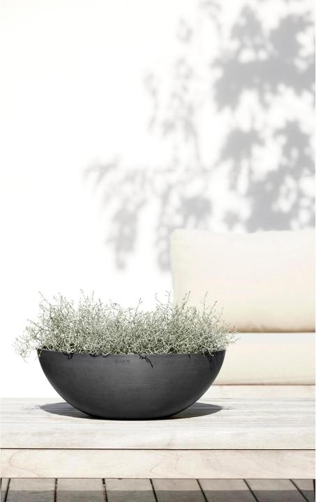 Immagine prodotto Ecopots Vienna (50 x 18 cm)