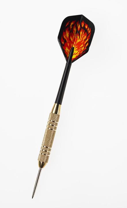 Actual product image Bex Sport Steeltip Beast (20 g)