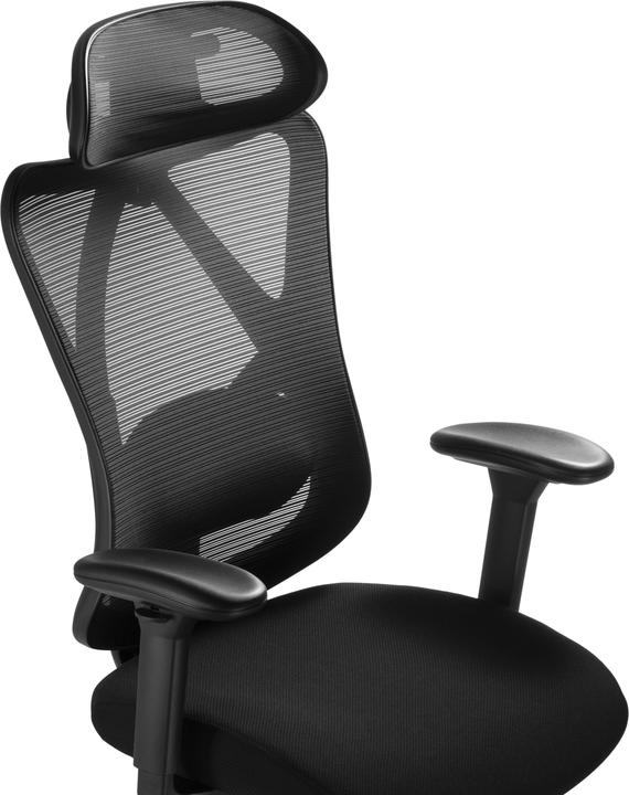 Immagine prodotto Ergowork Lumbacker