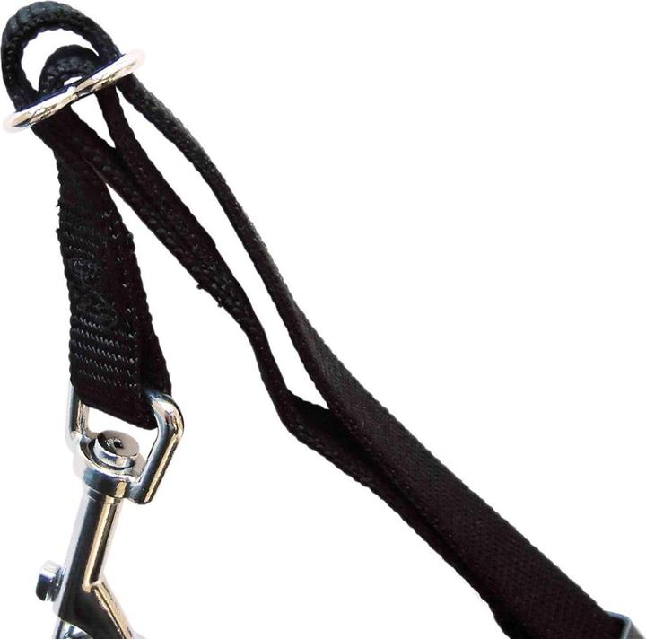 Actual product image Trixie Car harness (Dog, Reflectors)