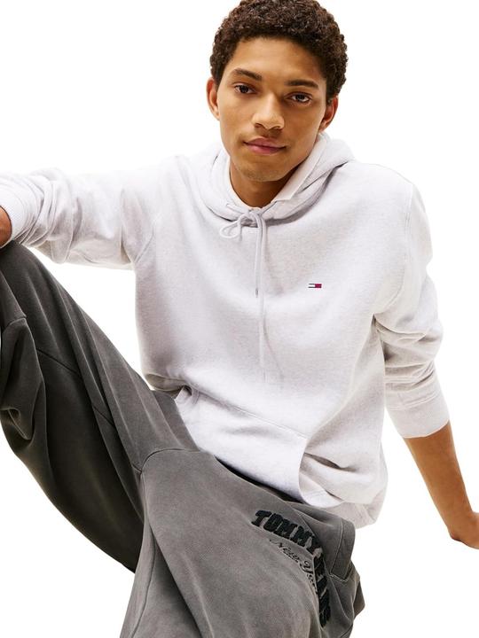 Productafbeelding Tommy Jeans Tjm Reg S Flag Hoodie (M)