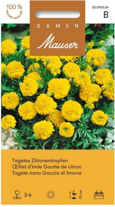 Actual product image Samen Mauser Tagetes lemon drops (Vegetable seeds)