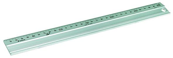 Actual product image Hedue Scale (45 cm)