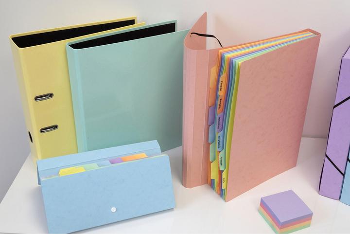 Actual product image Exacompta Ring binders (A4, 25 mm, 1 pcs.)