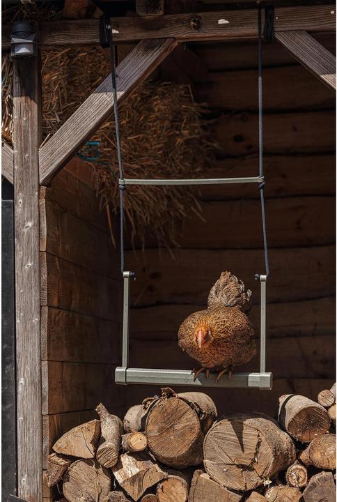 Actual product image Beeztees Feeding Station Chicken Swing, Grey