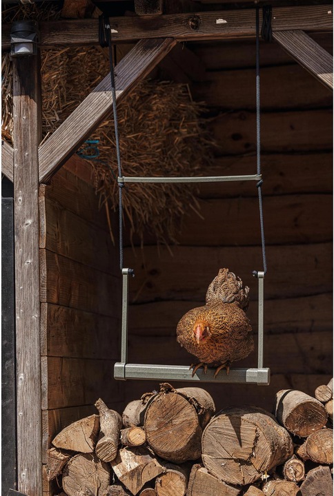 Image du produit Beeztees Mangeoire pour poules Balançoire, Gris