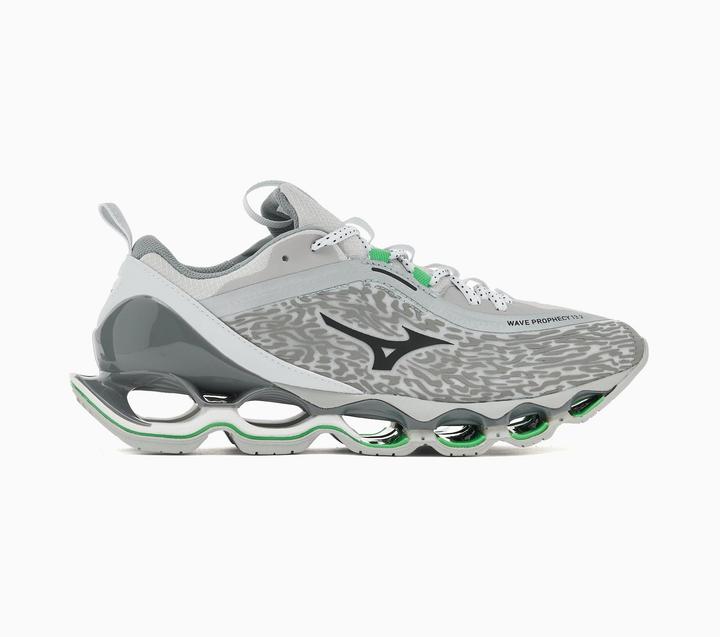 Image du produit Mizuno Wave Prophecy 13.2 (43)