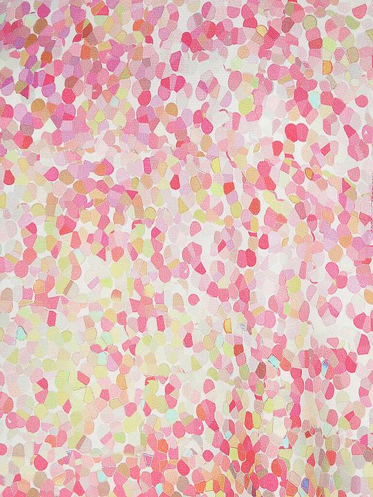 Image du produit Rich & Royal Chemisier (34)