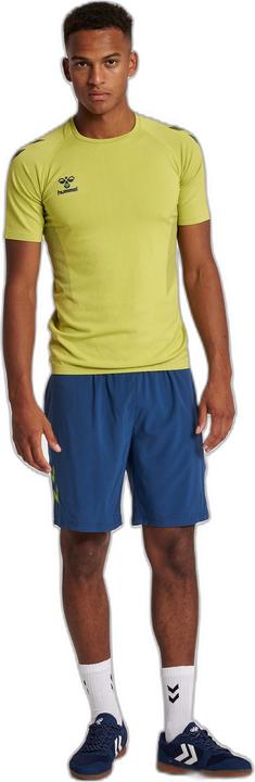 Actual product image hummel Lead Pro Training Shorts (M)