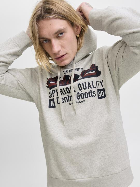 Actual product image Jack & Jones JJELOGO SWEAT HOOD 2 COL 25/26 NOOS (L)