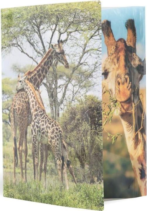 Image du produit HERMA Porte-documents A3 Motif (A3, 1x)