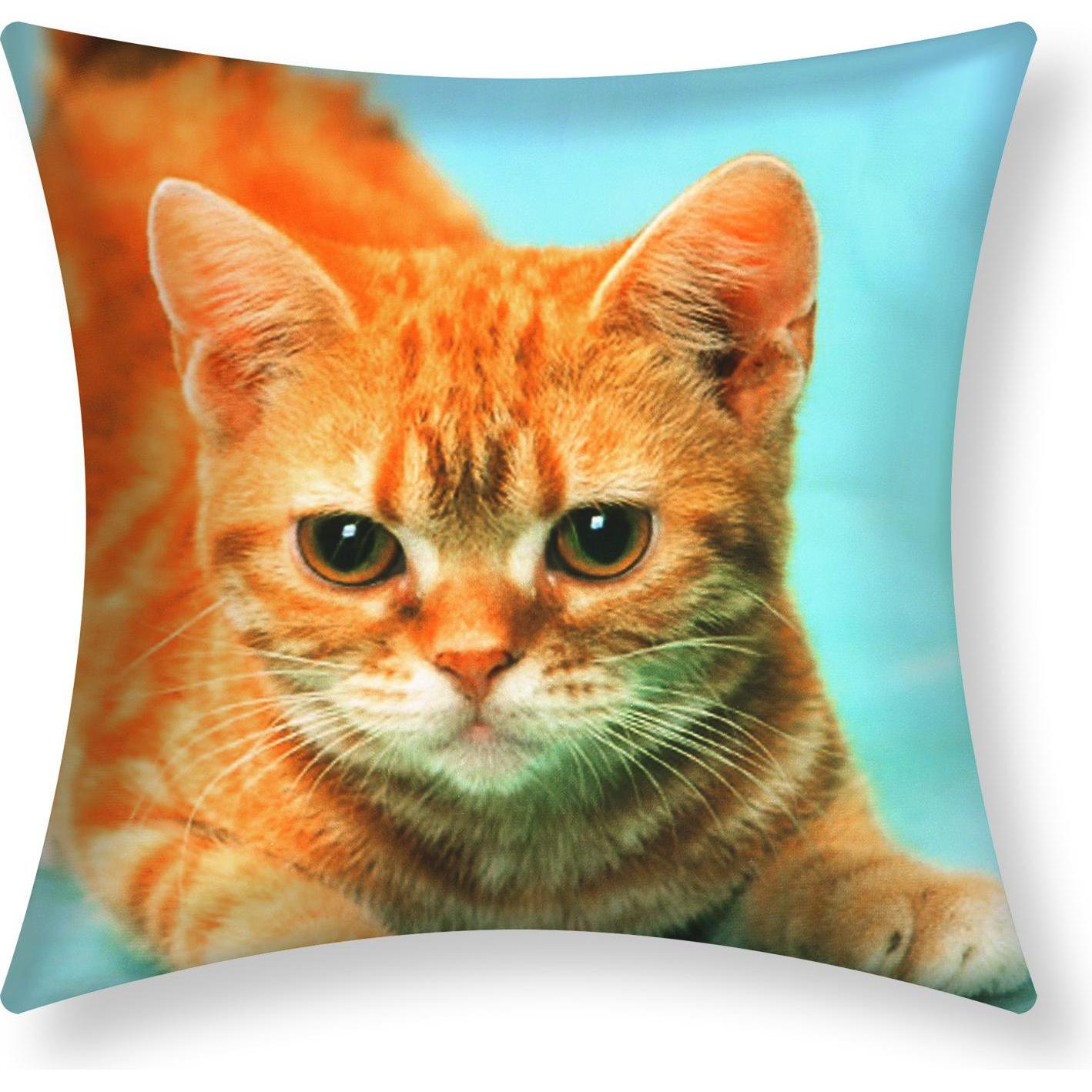 Avizar, Dekokissen, 2 Stk. Kissenbezüge Gelbe Katze (40 x 40 cm)