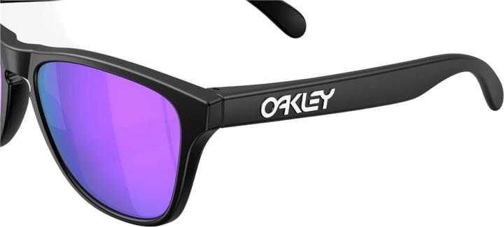 Produktbild Oakley Frogskins S