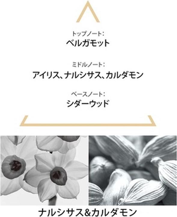 Image du produit Le Couvent Singulières Theria (Eau de parfum, 50 ml)