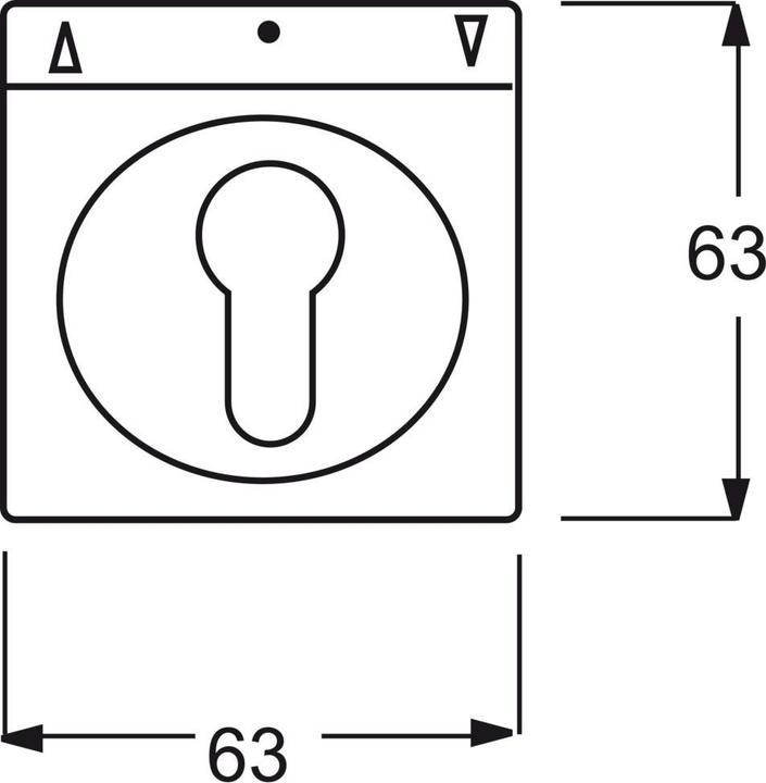 Actual product image Busch-Jaeger Central plate with labelling field 2CKA001710A3662