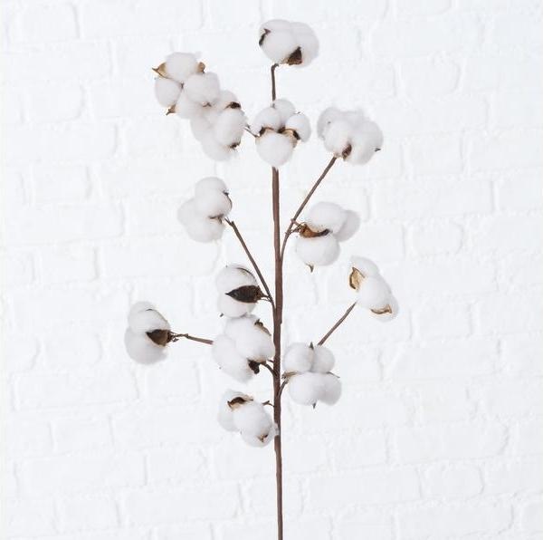 Produktbild Boltze Home Baumwolle (68 cm)