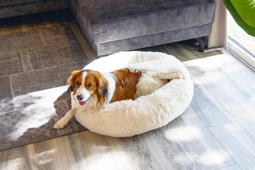 Image du produit Beeztees Hundebett Yala (Chien)