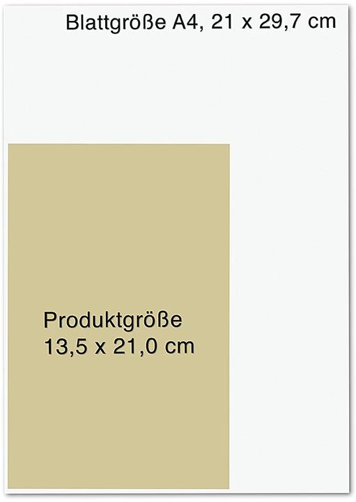 Immagine prodotto (Fast) Alles einfach erklärt (Tedesco, Niklas Kolorz, 2022)