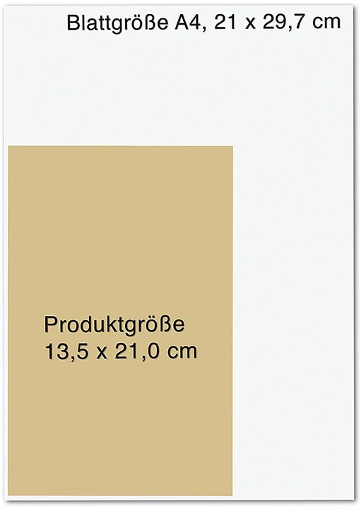 Actual product image (Fast) Alles einfach erklärt (German, Niklas Kolorz, 2022)