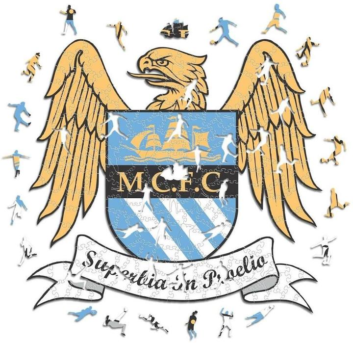 Actual product image Iconic Man City FC - Retro Logo - Wooden Puzzle Size M (270 pieces) (270 pieces)