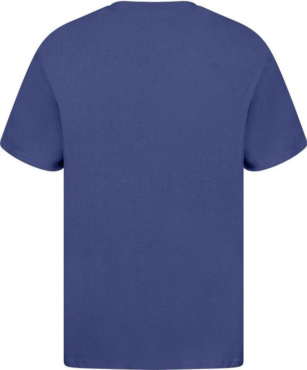 Produktbild Universal Textiles TShirt Baumwolle aus biologischem Anbau (L)