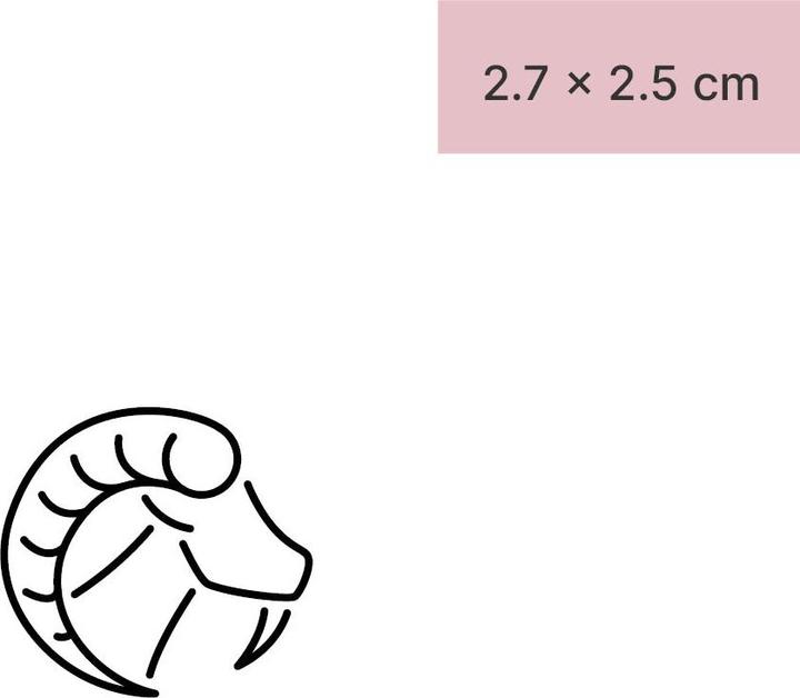 Immagine prodotto minink Tatuaggio temporaneo - Capricorno