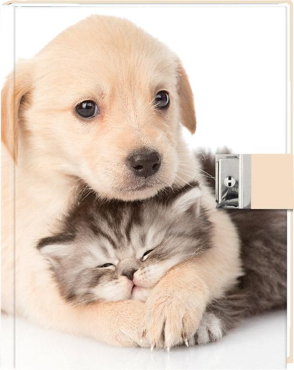 Produktbild Eibert Visual Tagebuch Best Friends (A5+, Blanko, Harter Einband)